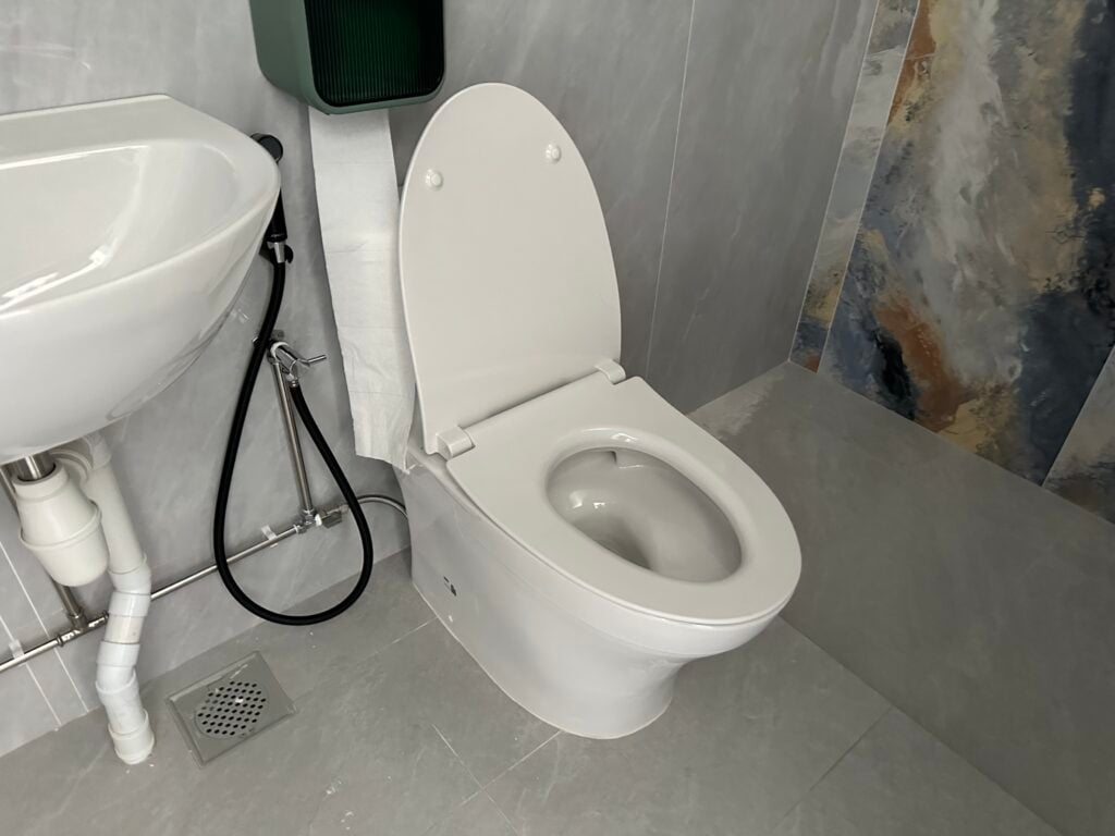 Toilet Repair