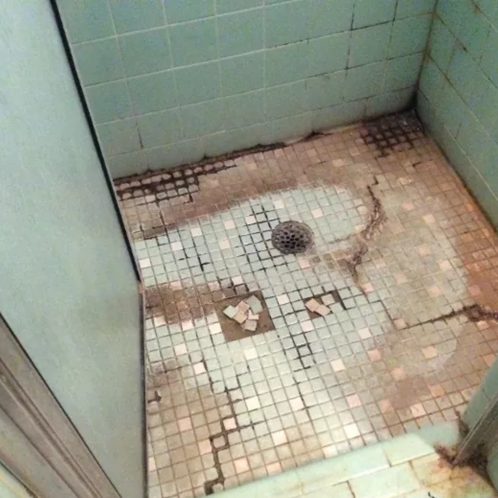 Toilet Choke Repair Singapore