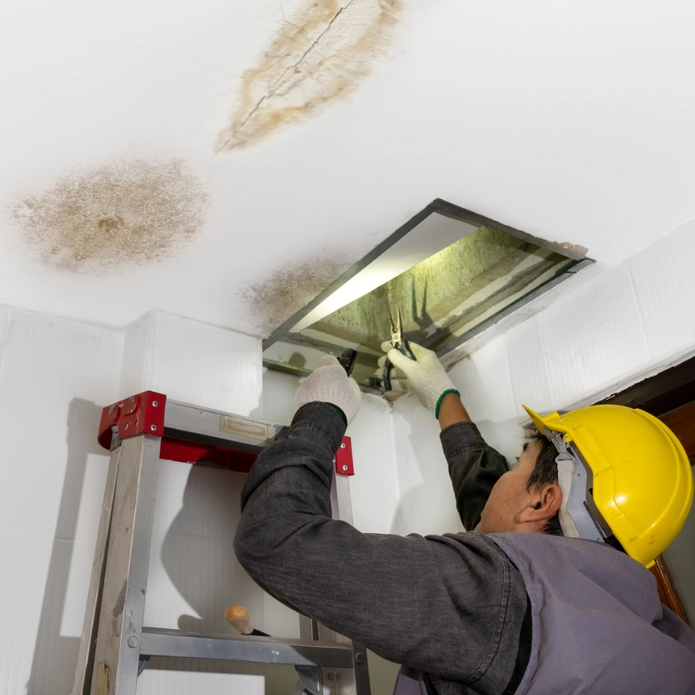 Ceiling Leak Repair Singapore
