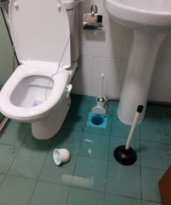 Toilet Choke Repair Singapore